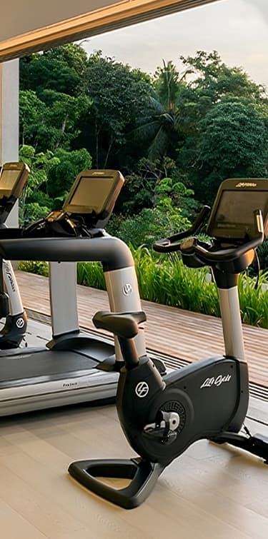 Gimnasio